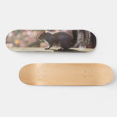 Gloeiend eekhoorn skateboard (Horizontaal)
