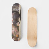 Gloeiend eekhoorn skateboard (Voorkant)