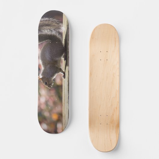 Gloeiend eekhoorn skateboard (Voorkant)