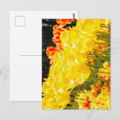Gloeiend in de zon briefkaart (Voorkant / Achterkant)