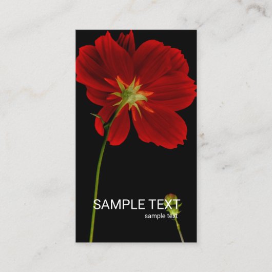 © Gloeiend in Duisternis Rode Gerbera Daisy Floral Visitekaartje (Voorkant)