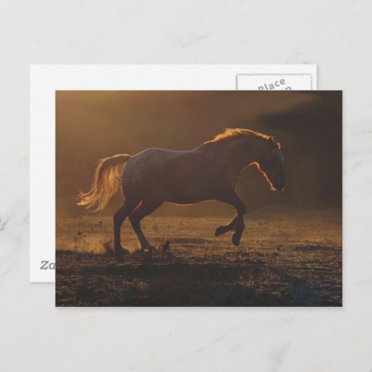 Gloeiend Ruglicht looppaard Briefkaart (Voorkant / Achterkant)