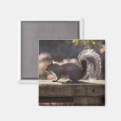 Gloeiend vierkant magneet (Voorkant / Achterkant)