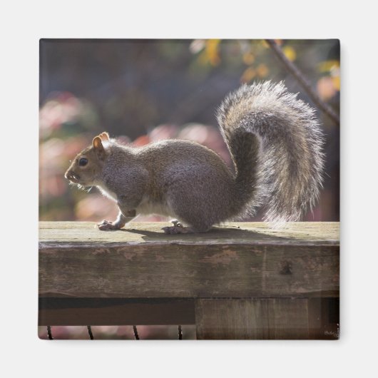 Gloeiend vierkant magneet (Voorkant)