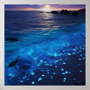 Gloeiend water Bioluminescent strand Poster