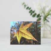 Gloeiend zure bladeren in het bos briefkaart (Staand voorkant)