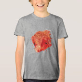 Gloeiende As Ontwikkelt Zich Tri-Blend Shirt (Voorkant)