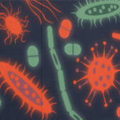 Gloeiende bacteriën micro-organisme groen rood behang (Zoom)