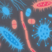 Gloeiende bacteriën micro-organisme roze blauw behang (Zoom)
