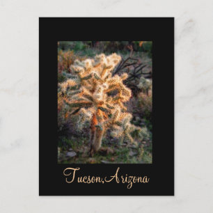 Gloeiende Cholla Tucson, Arizona Briefkaart