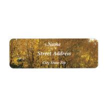 Gloeiende espenbomen