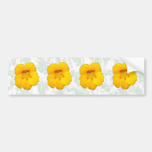Gloeiende Gele Nasturtium Flowers Bumpersticker