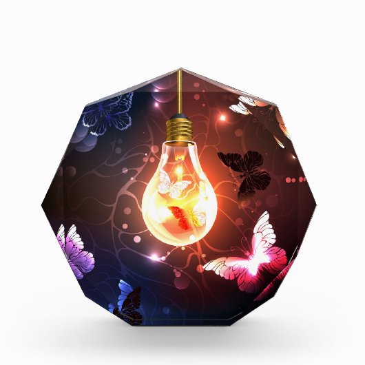 Gloeiende gloeilamp met nachtvlinders fotoblokken (Voorkant)