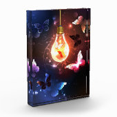 Gloeiende gloeilamp met nachtvlinders fotoblokken (Links)