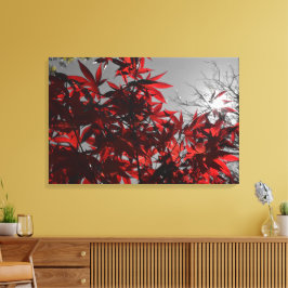 Gloeiende Herbst Canvas Afdruk