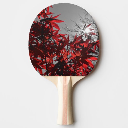Gloeiende Herbst Tafeltennisbatje (Voorkant)