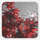 Gloeiende Herbst Vierkante Sticker (Voorkant)