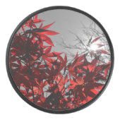 Gloeiende herfst hockey puck (Voorkant)