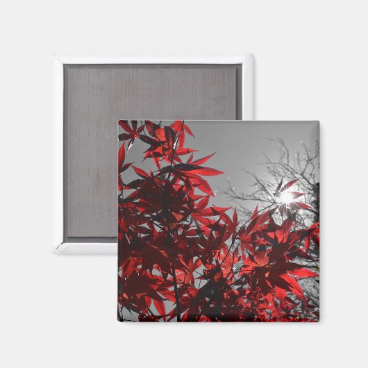 Gloeiende herfst magneet (Voorkant / Achterkant)