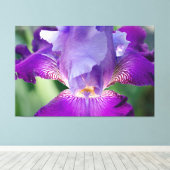 Gloeiende Iris Natuur / Bloemen / Botanische Foto Canvas Afdruk (Insitu (Houten vloer))