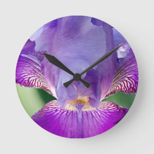 Gloeiende Iris Natuur / Bloemen / Botanische Foto Ronde Klok