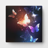 Gloeiende Nachtvlinders Fotoplaat (Voorkant)