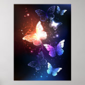 Gloeiende Nachtvlinders Poster (Voorkant)
