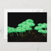 Gloeiende paddenstoelen briefkaart (Voorkant / Achterkant)