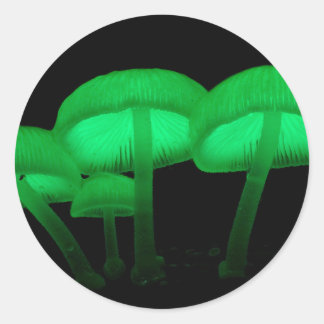 Gloeiende paddenstoelen ronde sticker