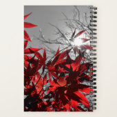 Gloeiende resten van de herfst notitieboek (Achterkant)