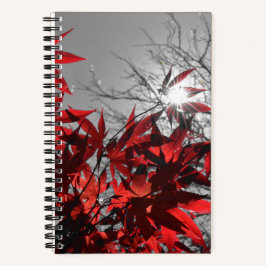 Gloeiende resten van de herfst notitieboek