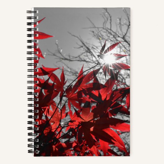Gloeiende resten van de herfst notitieboek (Voorkant)