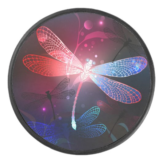Gloeiende rode libellen hockey puck (Voorkant)