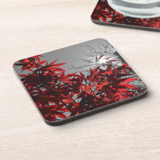 Gloeiende sintels van de herfst bier onderzetter (Linkerzijde)