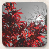 Gloeiende sintels van de herfst bier onderzetter (Voorkant)