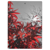 Gloeiende sintels van de herfst klembord (Achterkant)