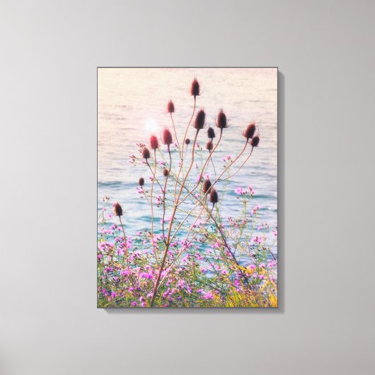 Gloeiende terug verlicht wilde Teasels en Thistles Canvas Afdruk (Voorkant)