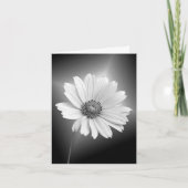 Gloeiende witte Daisy Note Card Kaart (Voorkant)