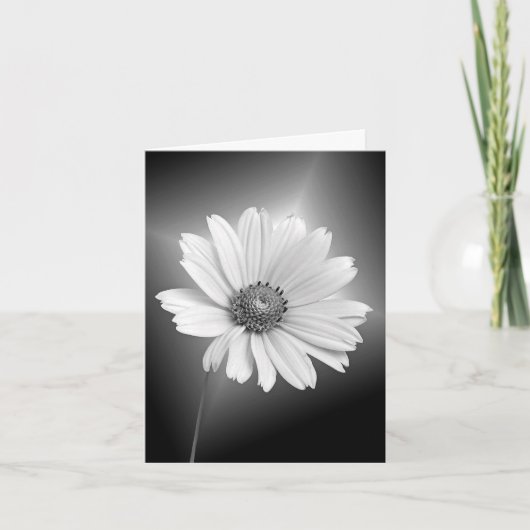 Gloeiende witte Daisy Note Card Kaart (Voorkant)