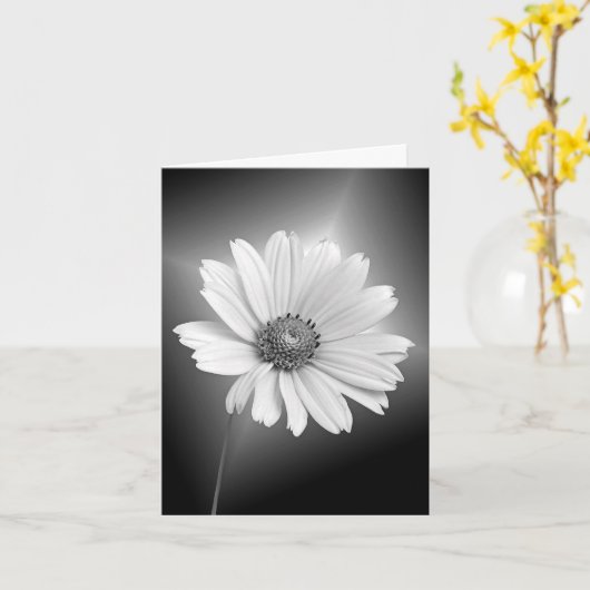 Gloeiende witte Daisy Note Card Kaart (Gele Bloem)
