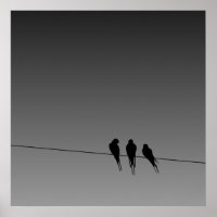 Glooming Blackbird Silhouette op het Poster van de