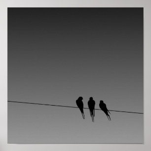 Glooming Blackbird Silhouette op het Poster van de