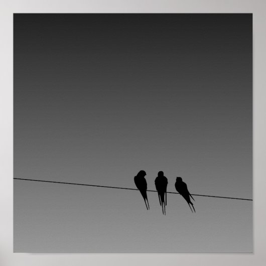 Glooming Blackbird Silhouette op het Poster van de (Voorkant)