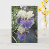 Gloride Paarse Iris Flower Floral Birthday Card Kaart (Gele Bloem)
