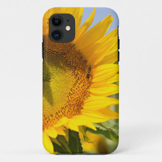 Gloride zonnebloemen! Case-Mate iPhone case
