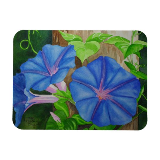 Glorie van de Morgen Magneet (Horizontaal)