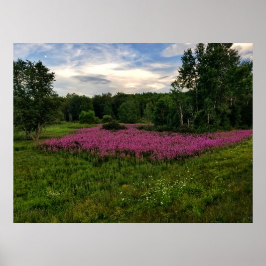 Glories of Maine Poster (Voorkant)