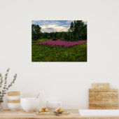 Glories of Maine Poster (Keuken)