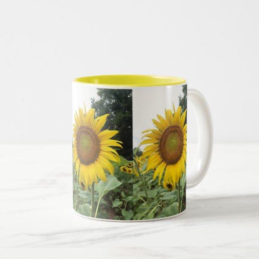 **GLORIEUZE ZONNLOWER** TWEEKLEURIGE KOFFIEMOK (Voorkant rechts)