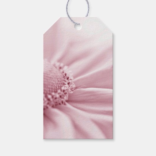 Gloriosa Daisy Macro Cadeaulabel (Voorkant)